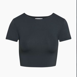 Aritzia Babaton, contour, cropped tee